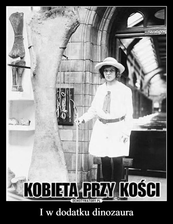 I w dodatku dinozaura