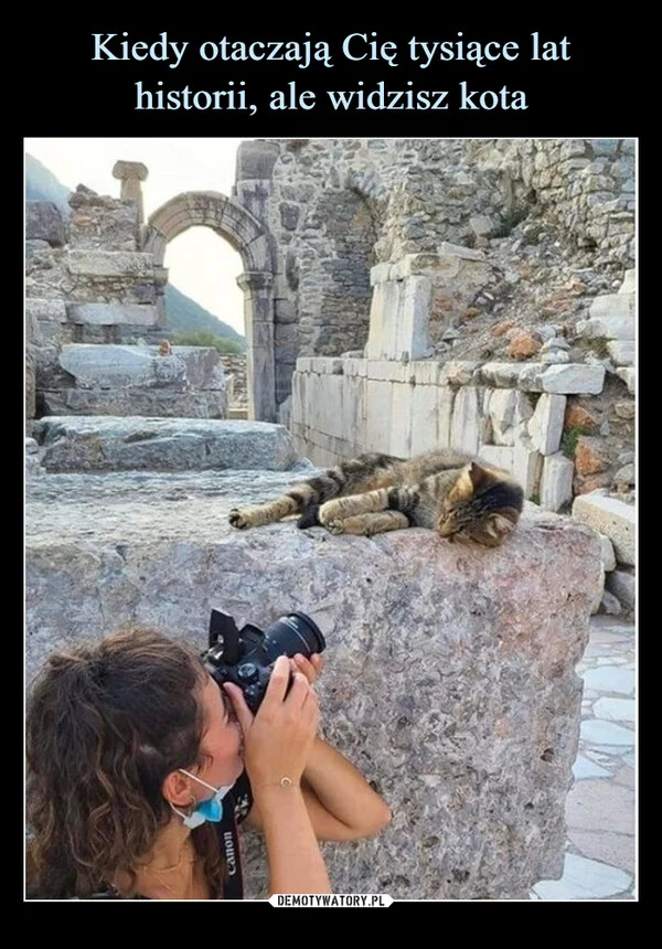 
    Kiedy otaczają Cię tysiące lat historii, ale widzisz kota