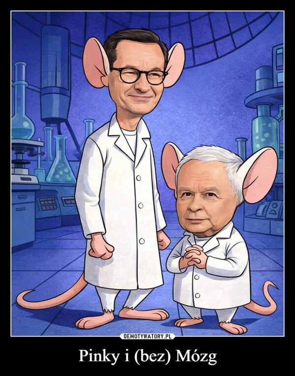
    Pinky i (bez) Mózg