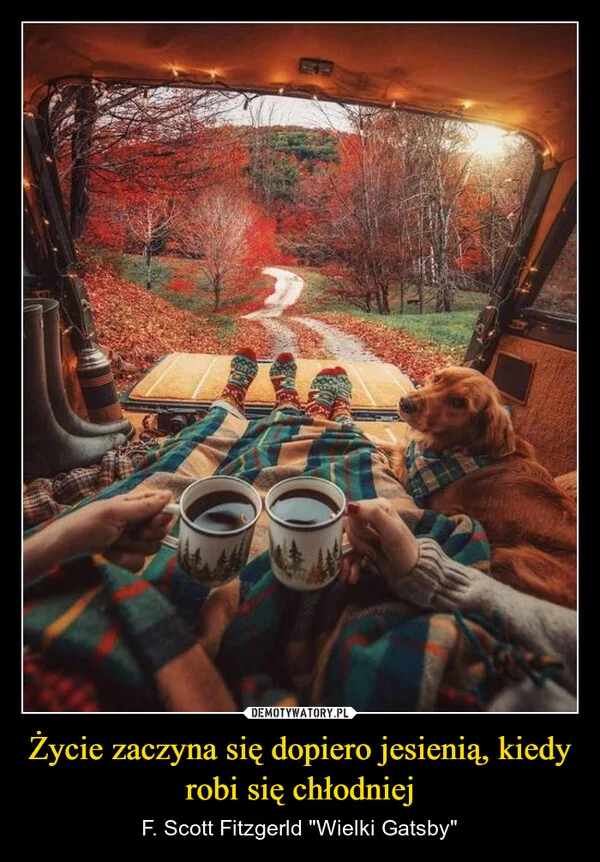 
    Życie zaczyna się dopiero jesienią, kiedy robi się chłodniej