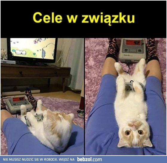 
    Cele w związku