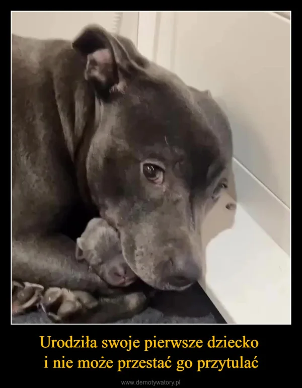 Urodziła swoje pierwsze dziecko i nie może przestać go przytulać