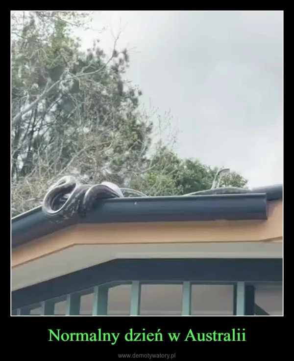 
    Normalny dzień w Australii