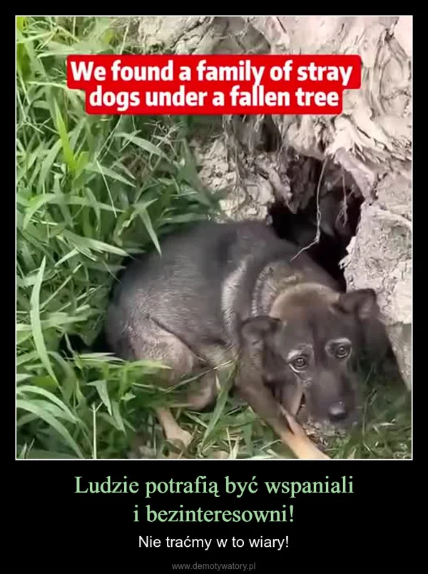 
    Ludzie potrafią być wspaniali i bezinteresowni!