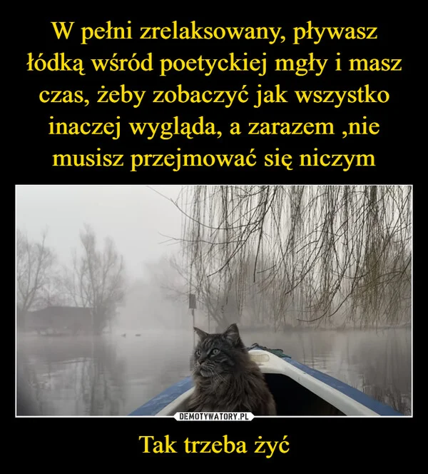 
    W pełni zrelaksowany, pływasz łódką wśród poetyckiej mgły i masz czas, żeby zobaczyć jak wszystko inaczej wygląda, a zarazem ,nie musisz przejmować się niczym Tak trzeba żyć