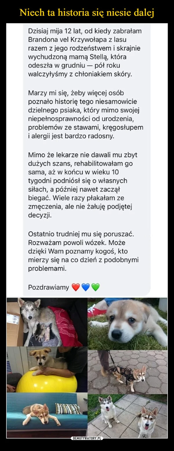 
    Niech ta historia się niesie dalej