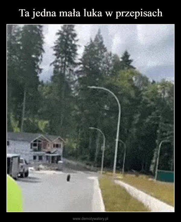 
    Ta jedna mała luka w przepisach