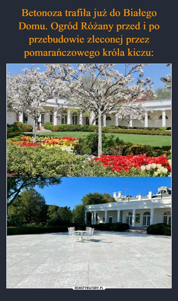 
    Betonoza trafiła już do Białego Domu. Ogród Różany przed i po przebudowie zleconej przez pomarańczowego króla kiczu: