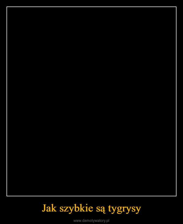 
    Jak szybkie są tygrysy