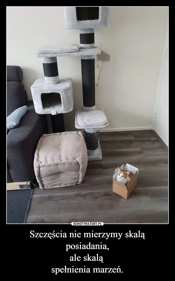 Szczęścia nie mierzymy skalą posiadania, ale skalą spełnienia marzeń.