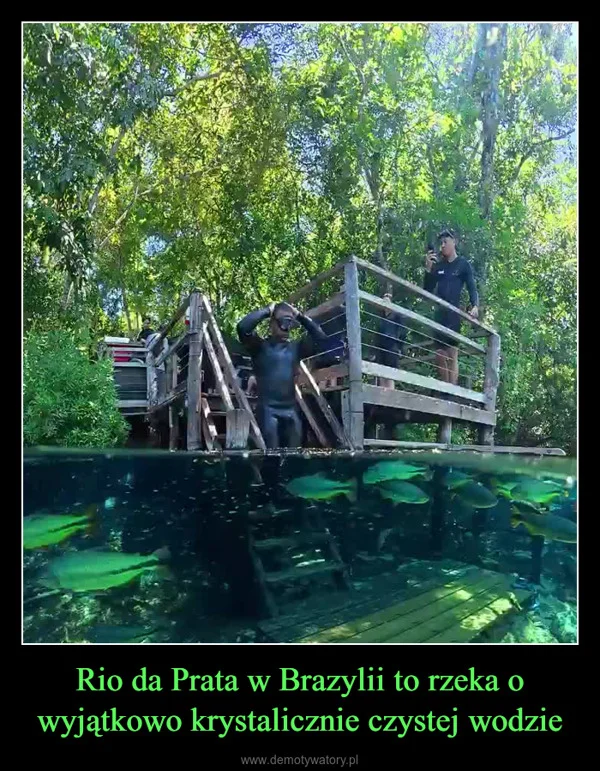 Rio da Prata w Brazylii to rzeka o wyjątkowo krystalicznie czystej wodzie