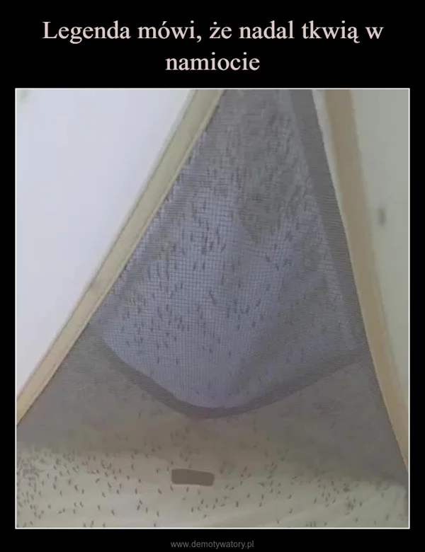 
    Legenda mówi, że nadal tkwią w namiocie