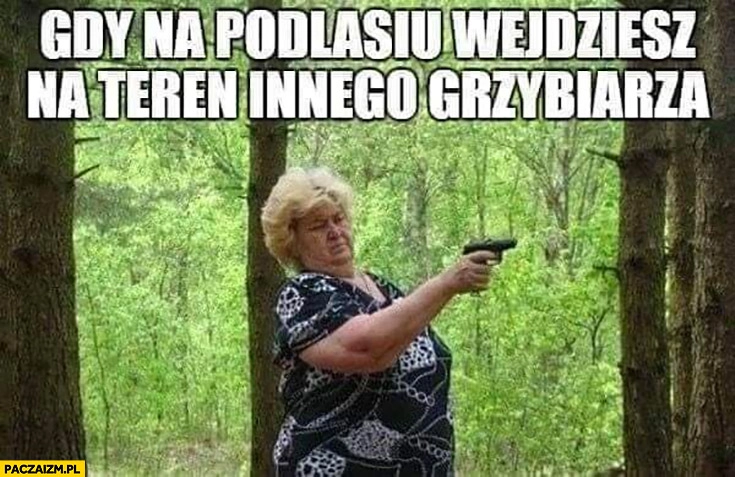 Gdy na Podlasiu wejdziesz na teren innego grzybiarza baba z pistoletem