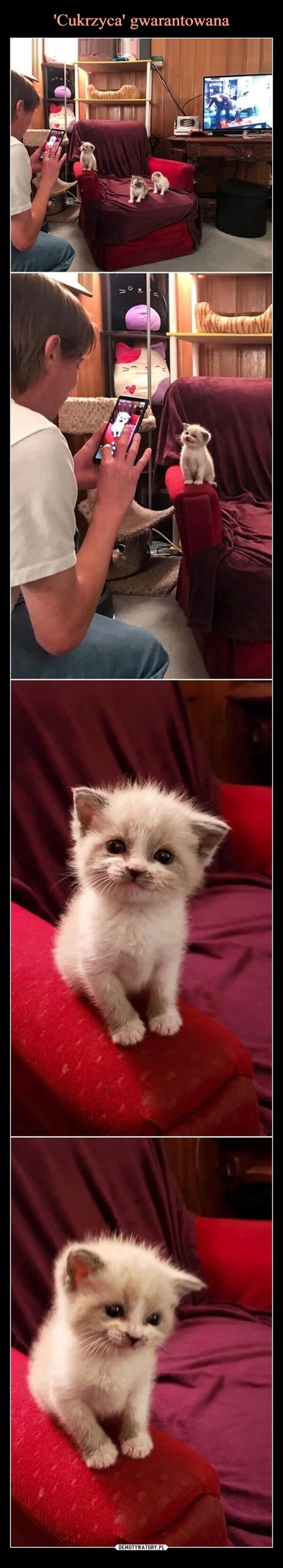 
    'Cukrzyca' gwarantowana