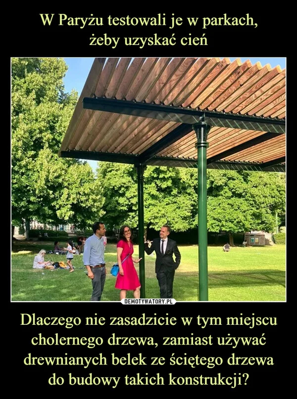
    W Paryżu testowali je w parkach, żeby uzyskać cień Dlaczego nie zasadzicie w tym miejscu cholernego drzewa, zamiast używać drewnianych belek ze ściętego drzewa do budowy takich konstrukcji?