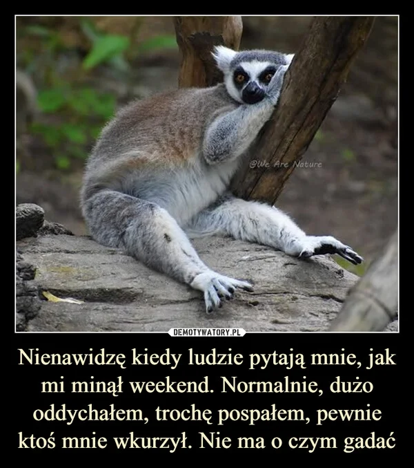 Nienawidzę kiedy ludzie pytają mnie, jak mi minął weekend. Normalnie, dużo oddychałem, trochę pospałem, pewnie ktoś mnie wkurzył. Nie ma o czym gadać