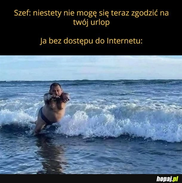 
    Wakacje