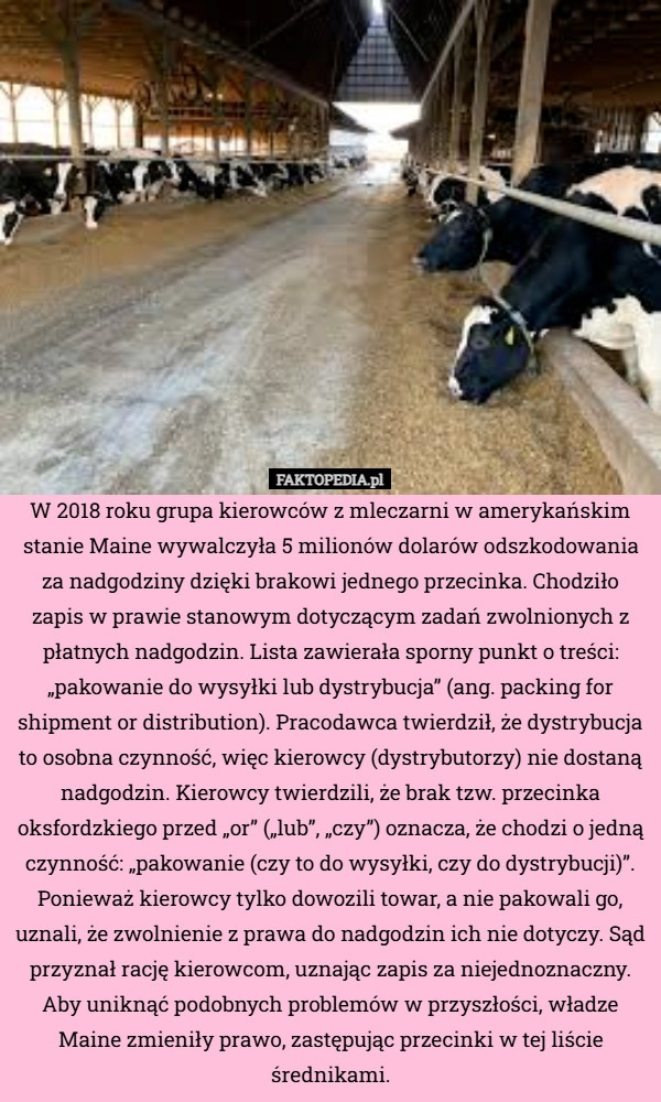 W 2018 roku grupa kierowców z mleczarni w amerykańskim stanie Maine wywalczyła