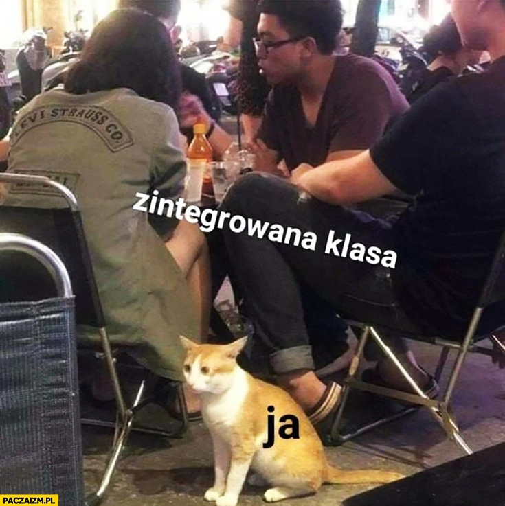 
    Zintegrowana klasa vs ja smutny kot siedzi pod stołem