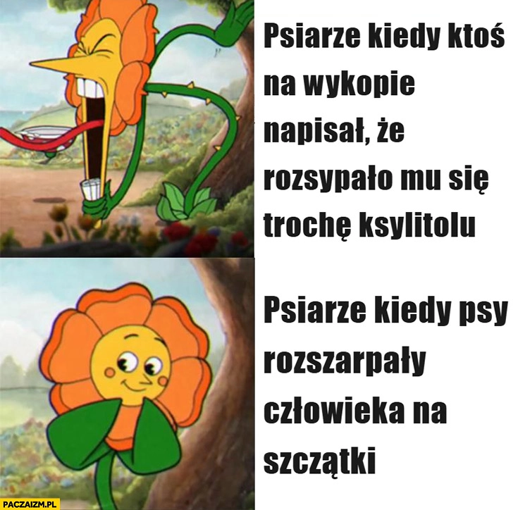 
    Psiarze kiedy ktoś napisał, że rozsypało mu się trochę ksylitolu vs kiedy psy rozszarpały człowieka na szczątki