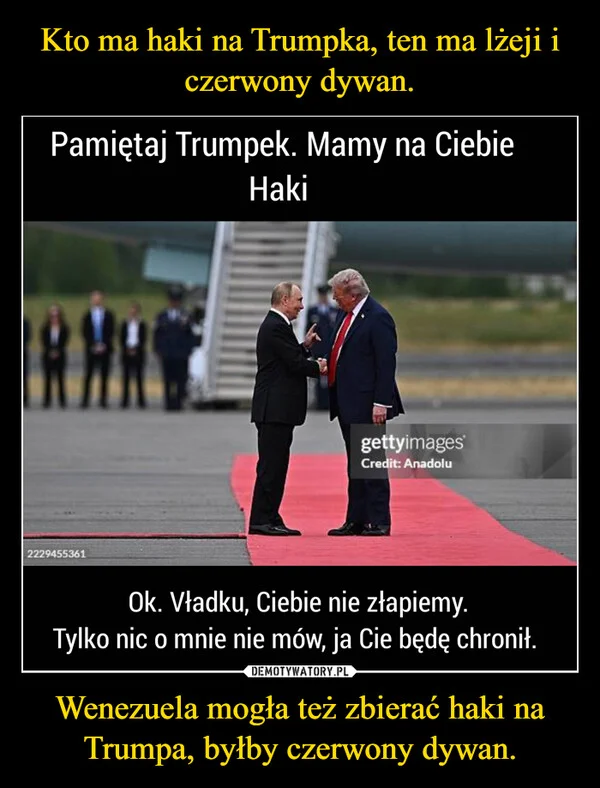
    Kto ma haki na Trumpka, ten ma lżeji i czerwony dywan. Wenezuela mogła też zbierać haki na Trumpa, byłby czerwony dywan.