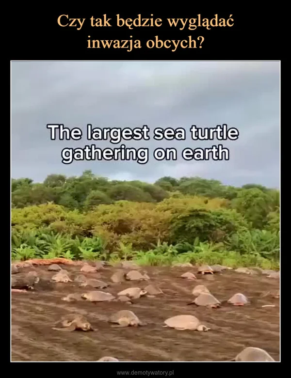 
    Czy tak będzie wyglądać inwazja obcych?