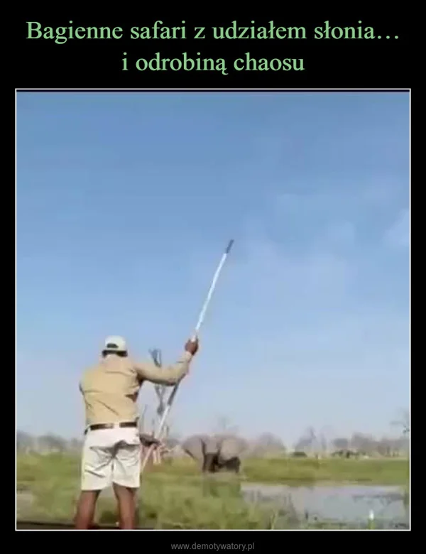 
    Bagienne safari z udziałem słonia… i odrobiną chaosu