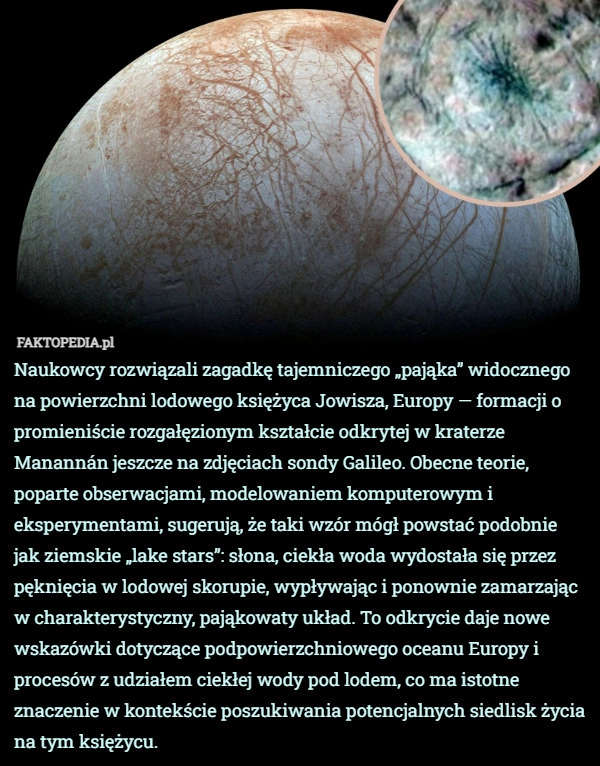 Naukowcy rozwiązali zagadkę tajemniczego „pająka” widocznego na powierzchni