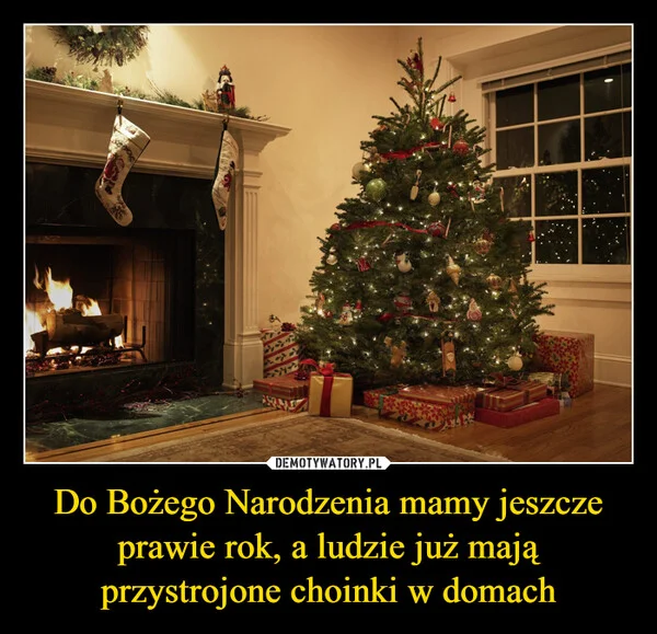 Do Bożego Narodzenia mamy jeszcze prawie rok, a ludzie już mają przystrojone choinki w domach