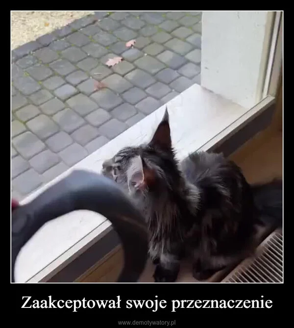 
    Zaakceptował swoje przeznaczenie