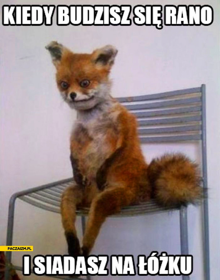 Kiedy budzisz się rano i siadasz na łóżku