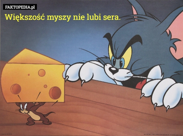 Większość myszy nie lubi sera.