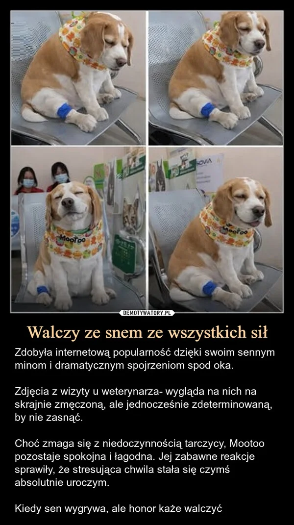 Walczy ze snem ze wszystkich sił