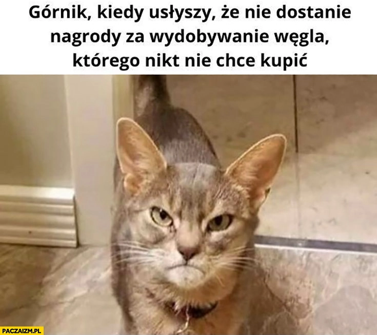 
    Górnik kiedy usłyszy, że nie dostanie nagrody za wydobywanie węgla którego nikt nie chce kupić zły kot