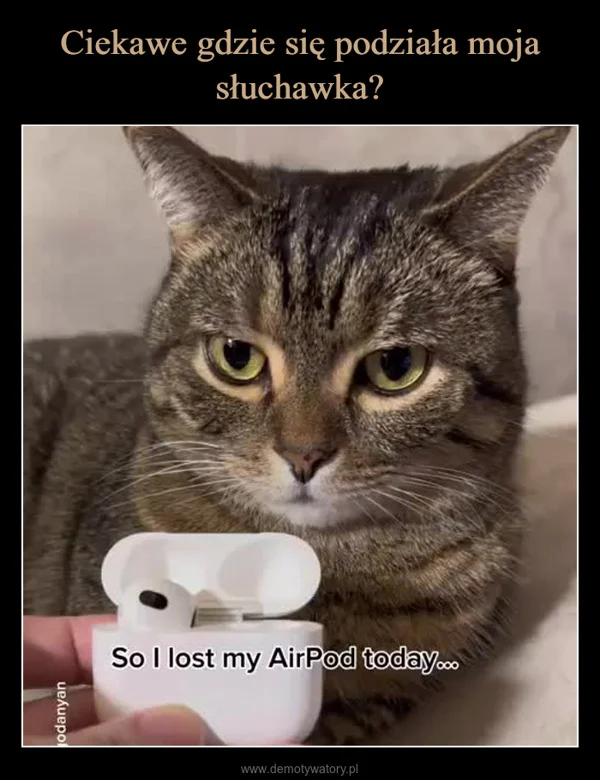 
    Ciekawe gdzie się podziała moja słuchawka?