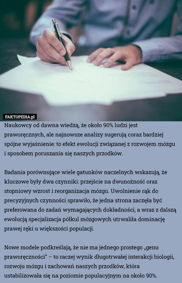 
    Naukowcy od dawna wiedzą, że około 90% ludzi jest praworęcznych, ale najnowsze