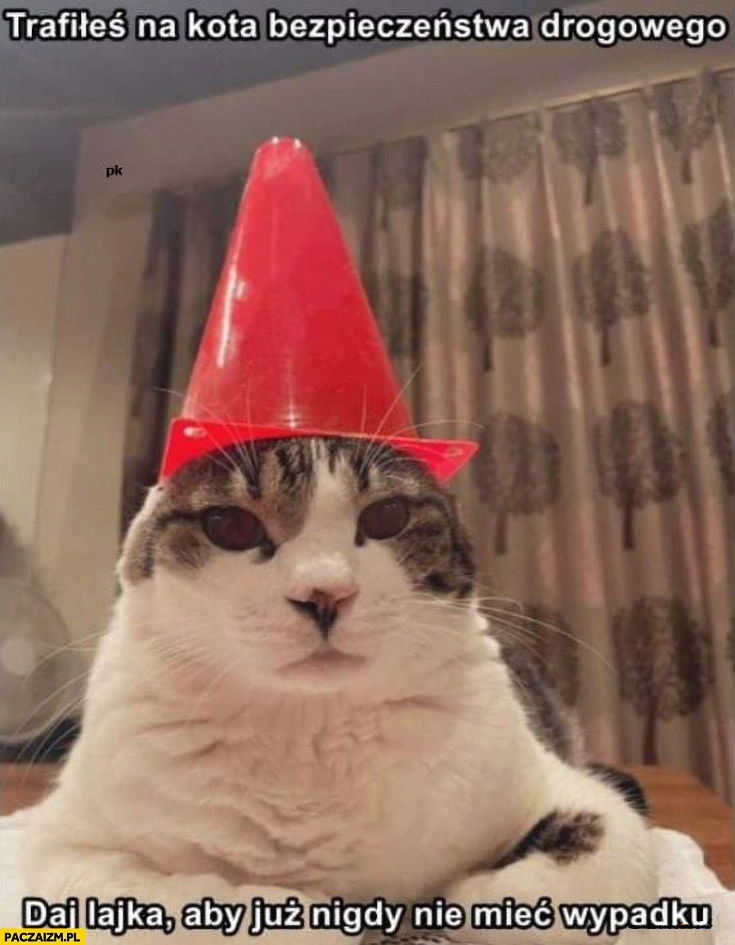 Trafiłeś na kota bezpieczeństwa drogowego daj lajka aby już nigdy nie mieć wypadku