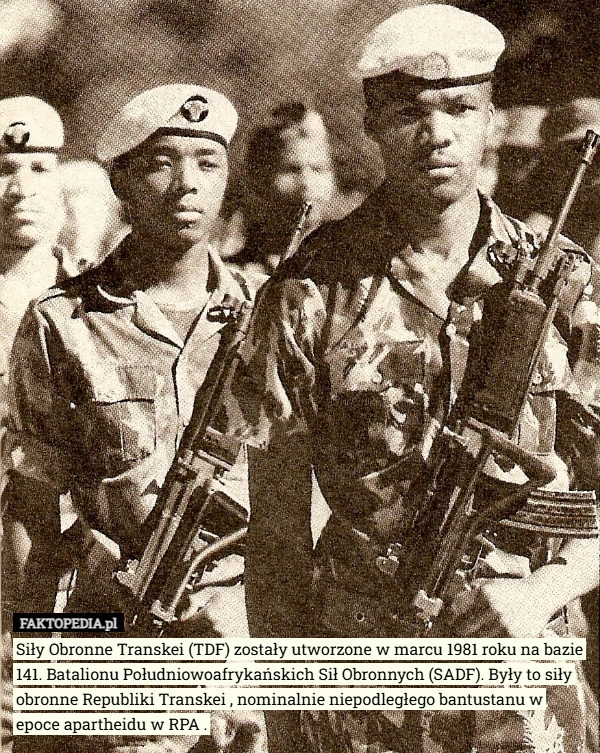
    Siły Obronne Transkei (TDF) zostały utworzone w marcu 1981 roku na bazie