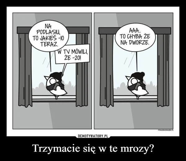 Trzymacie się w te mrozy?