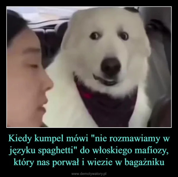 
    Kiedy kumpel mówi 