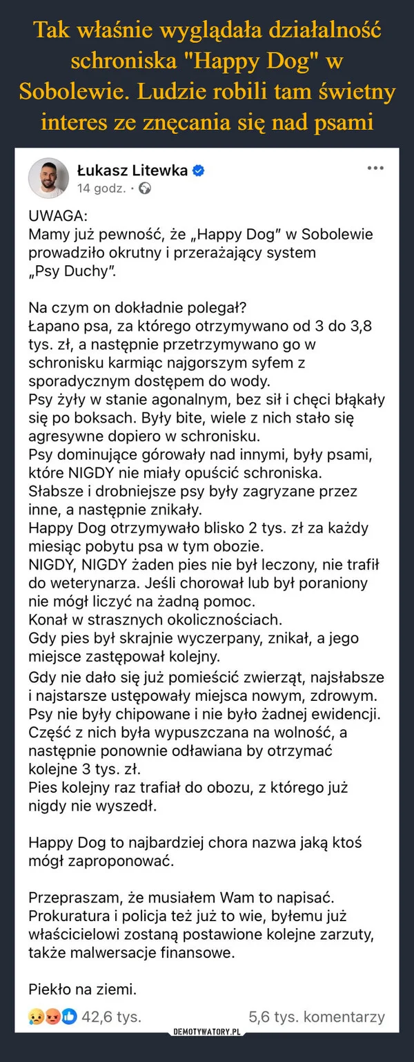 Tak właśnie wyglądała działalność schroniska 