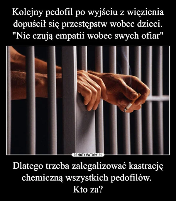 Kolejny pedofil po wyjściu z więzienia dopuścił się przestępstw wobec dzieci. 