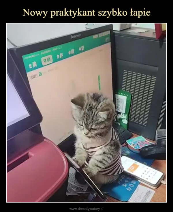 Nowy praktykant szybko łapie