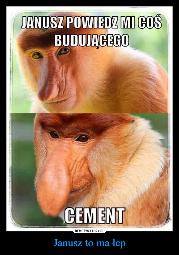 
    Janusz to ma łep