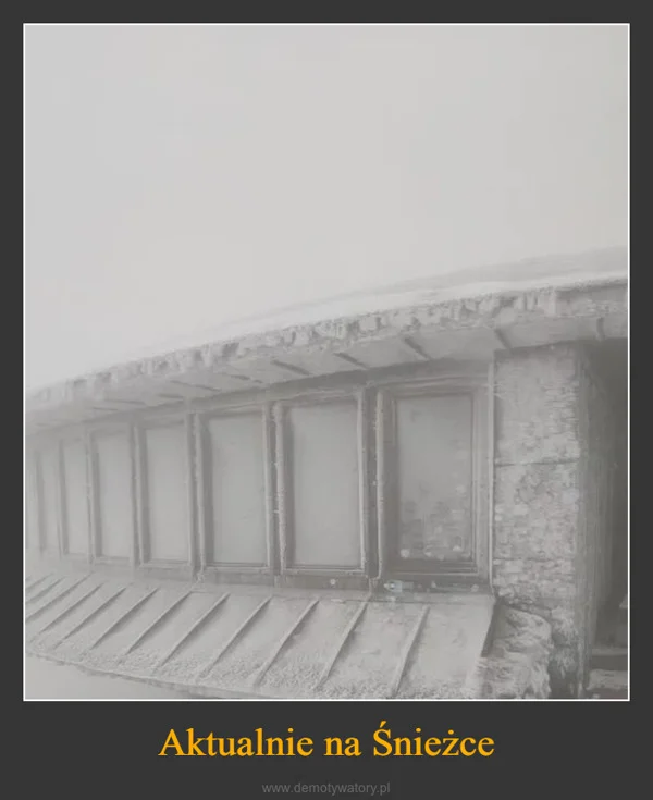 
    Aktualnie na Śnieżce