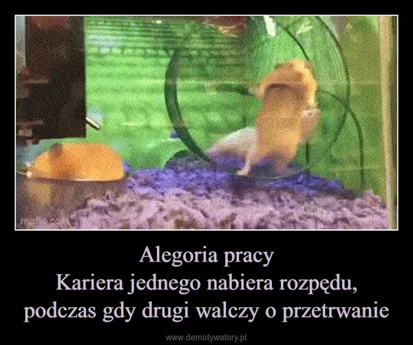 
    Alegoria pracy Kariera jednego nabiera rozpędu, podczas gdy drugi walczy o przetrwanie
