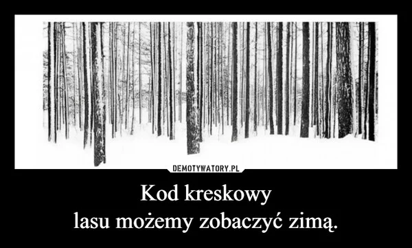 Kod kreskowy lasu możemy zobaczyć zimą.