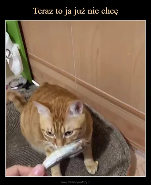 Teraz to ja już nie chcę
