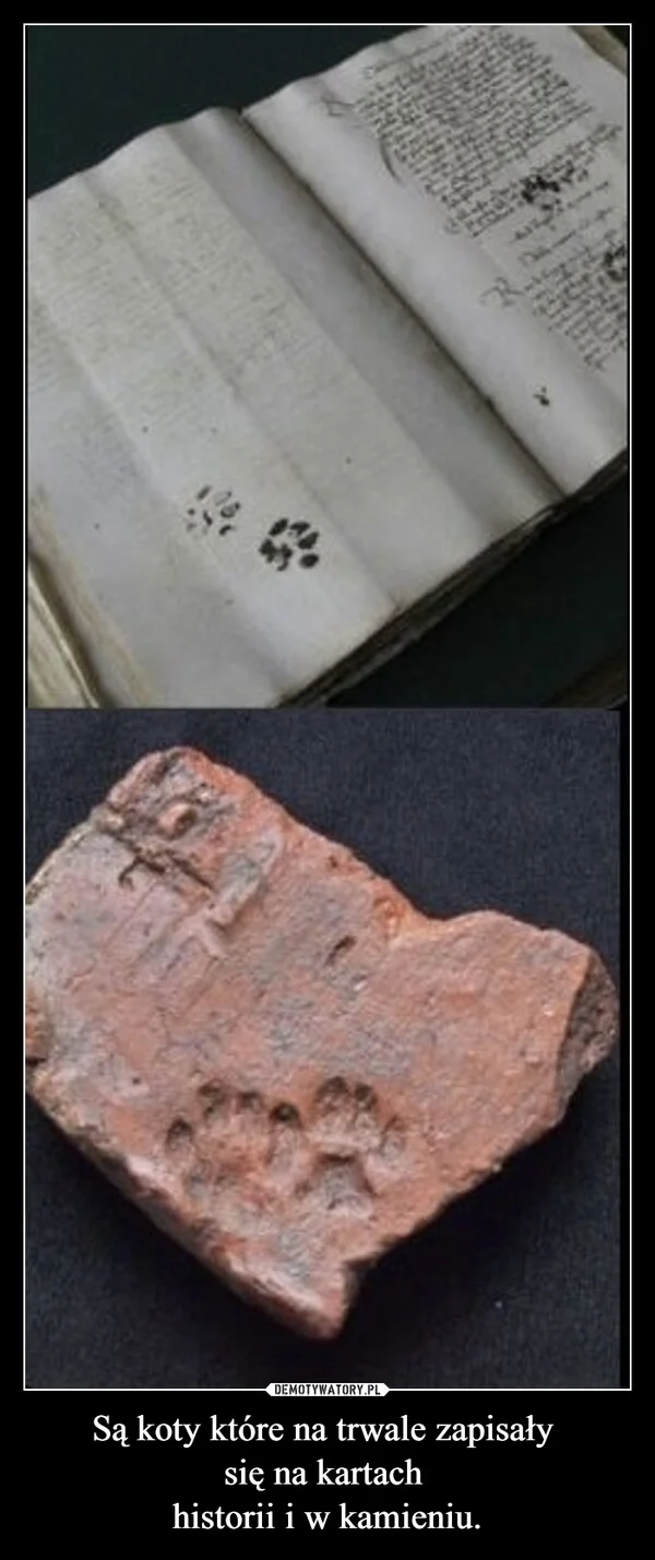 
    Są koty które na trwale zapisały się na kartach historii i w kamieniu.