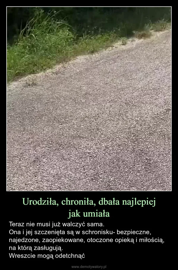 
    Urodziła, chroniła, dbała najlepiej jak umiała